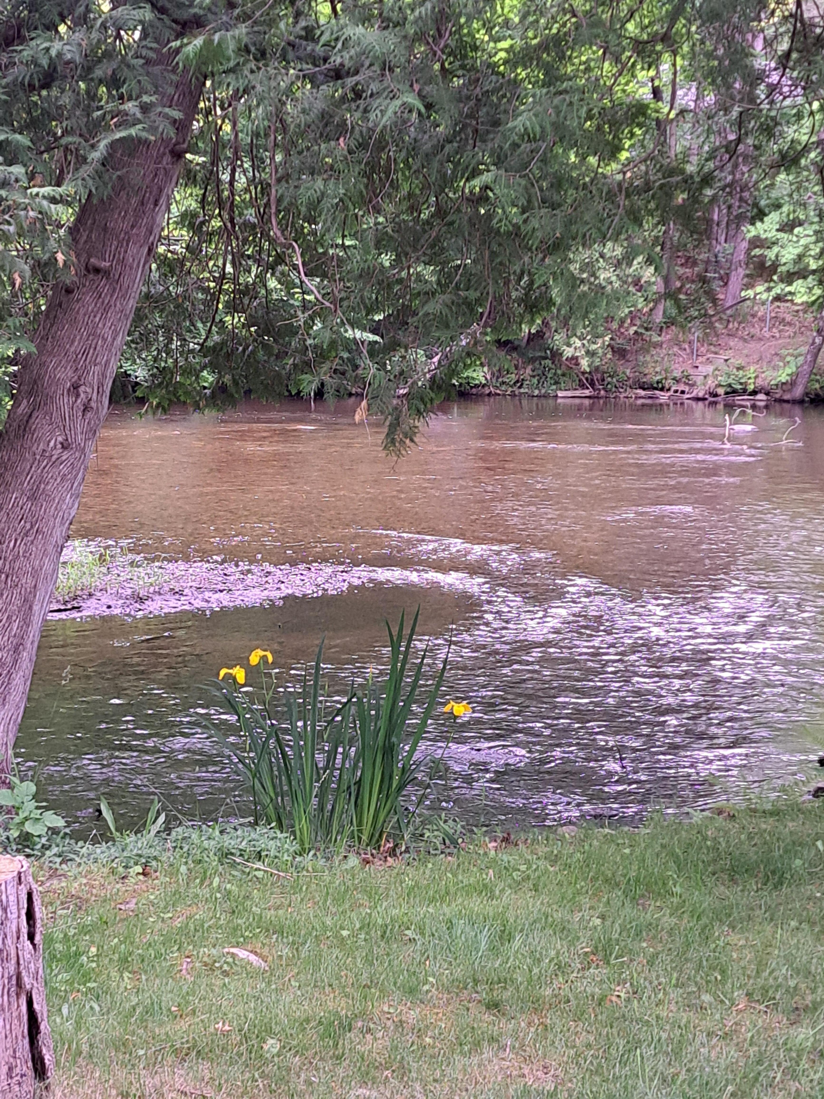 The river was beautiful.