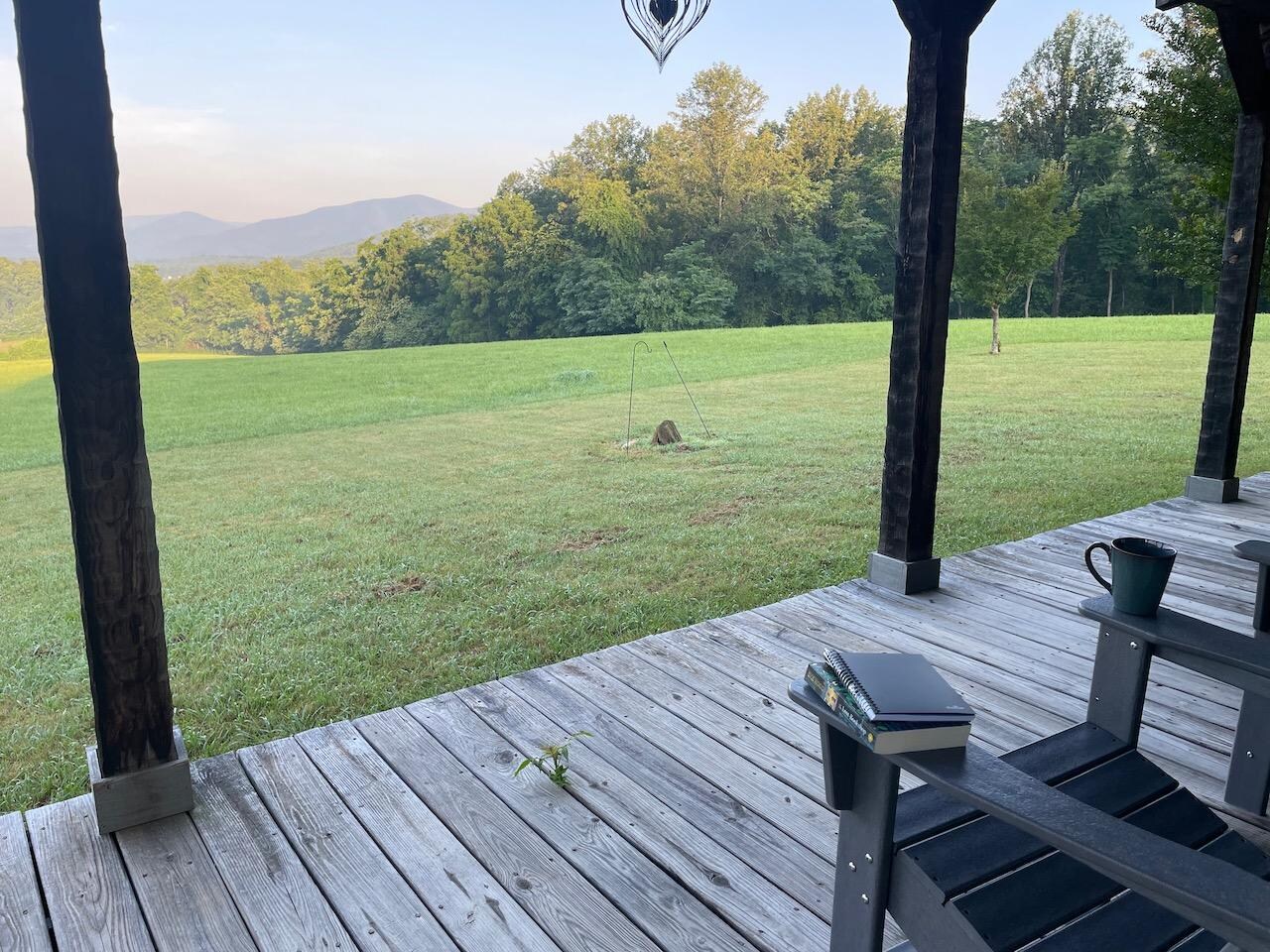 Morning view