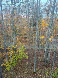 Looking out from the one of the balconies