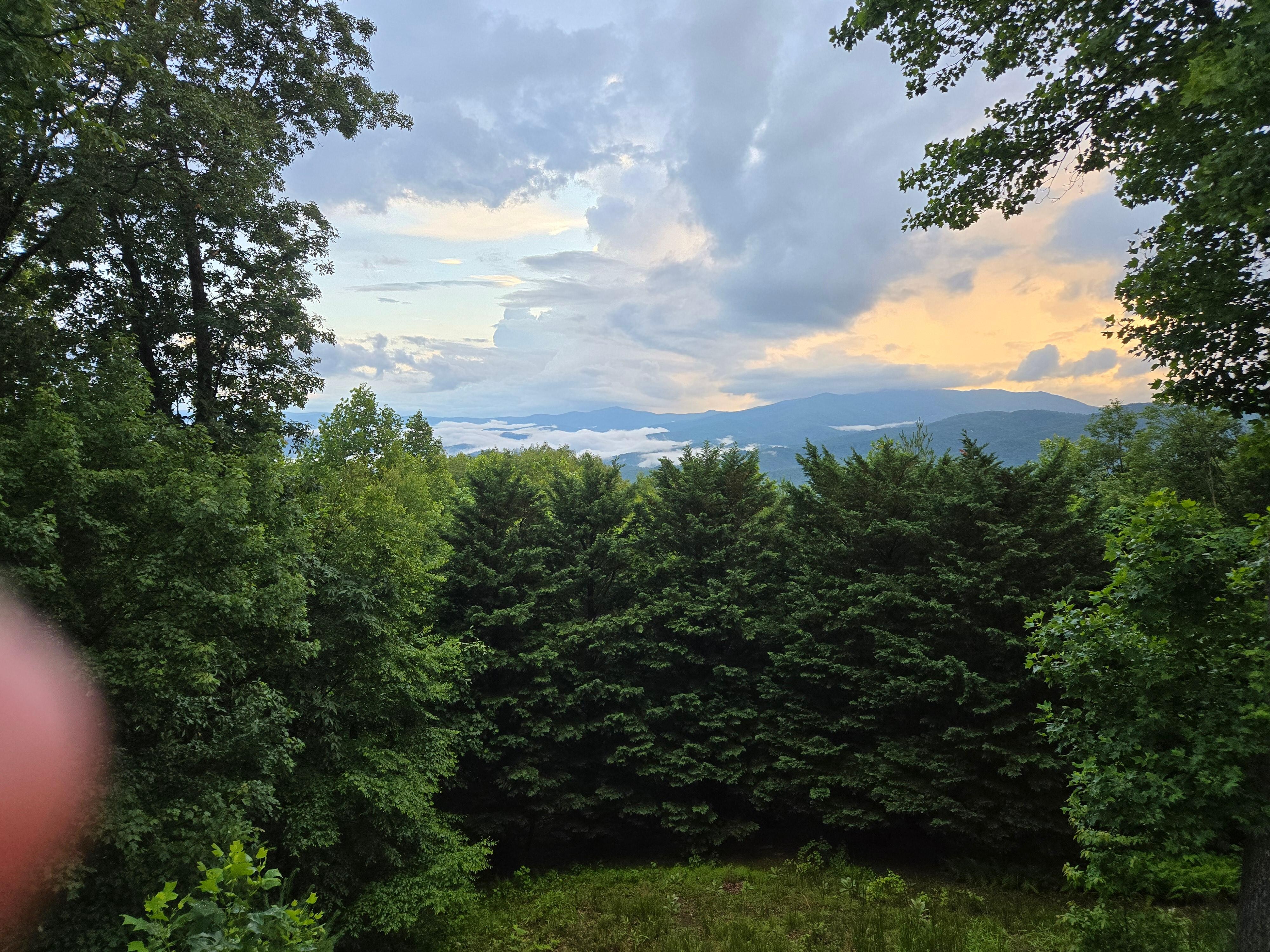 View from the deck