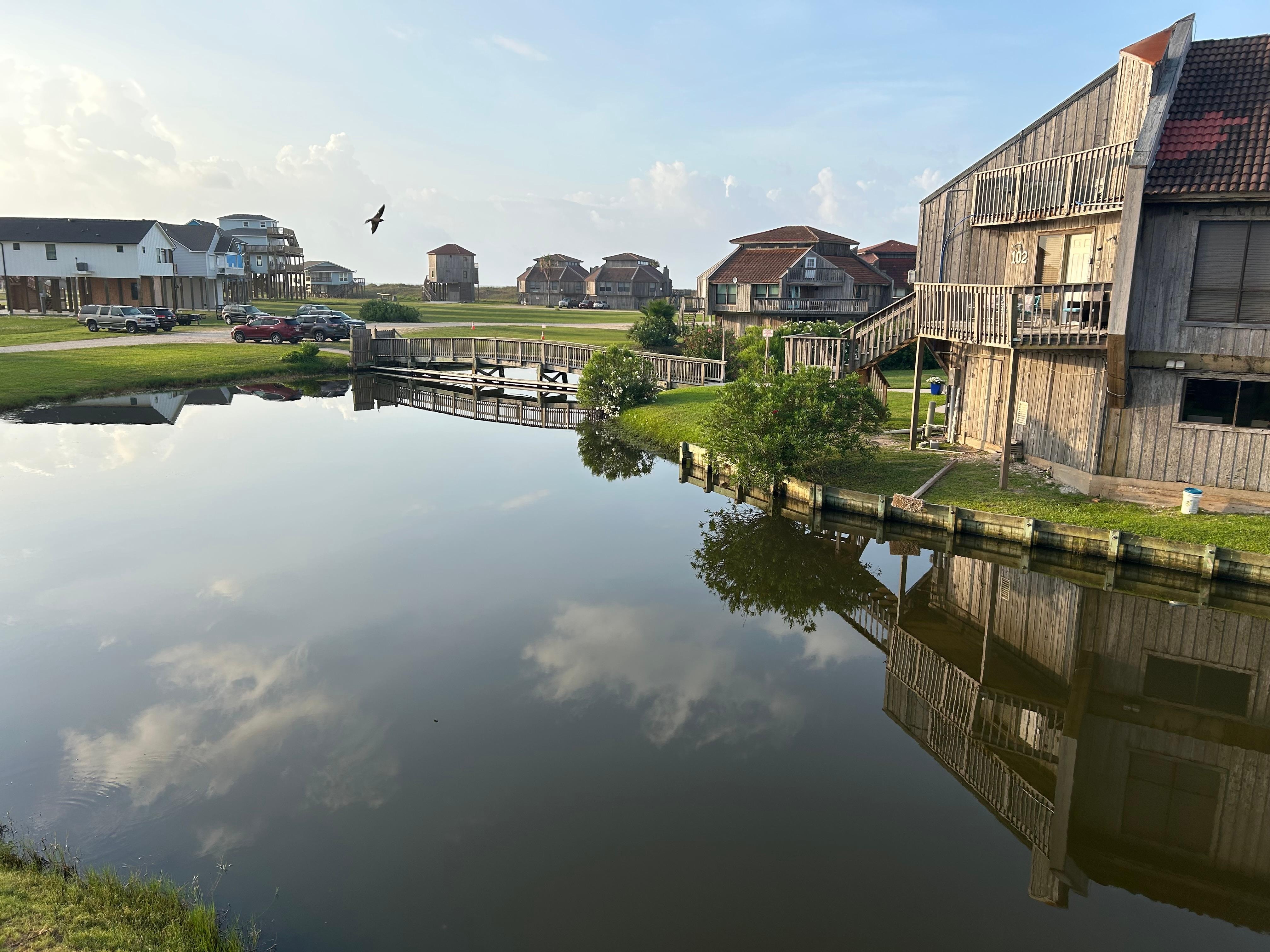 Morning view from the road