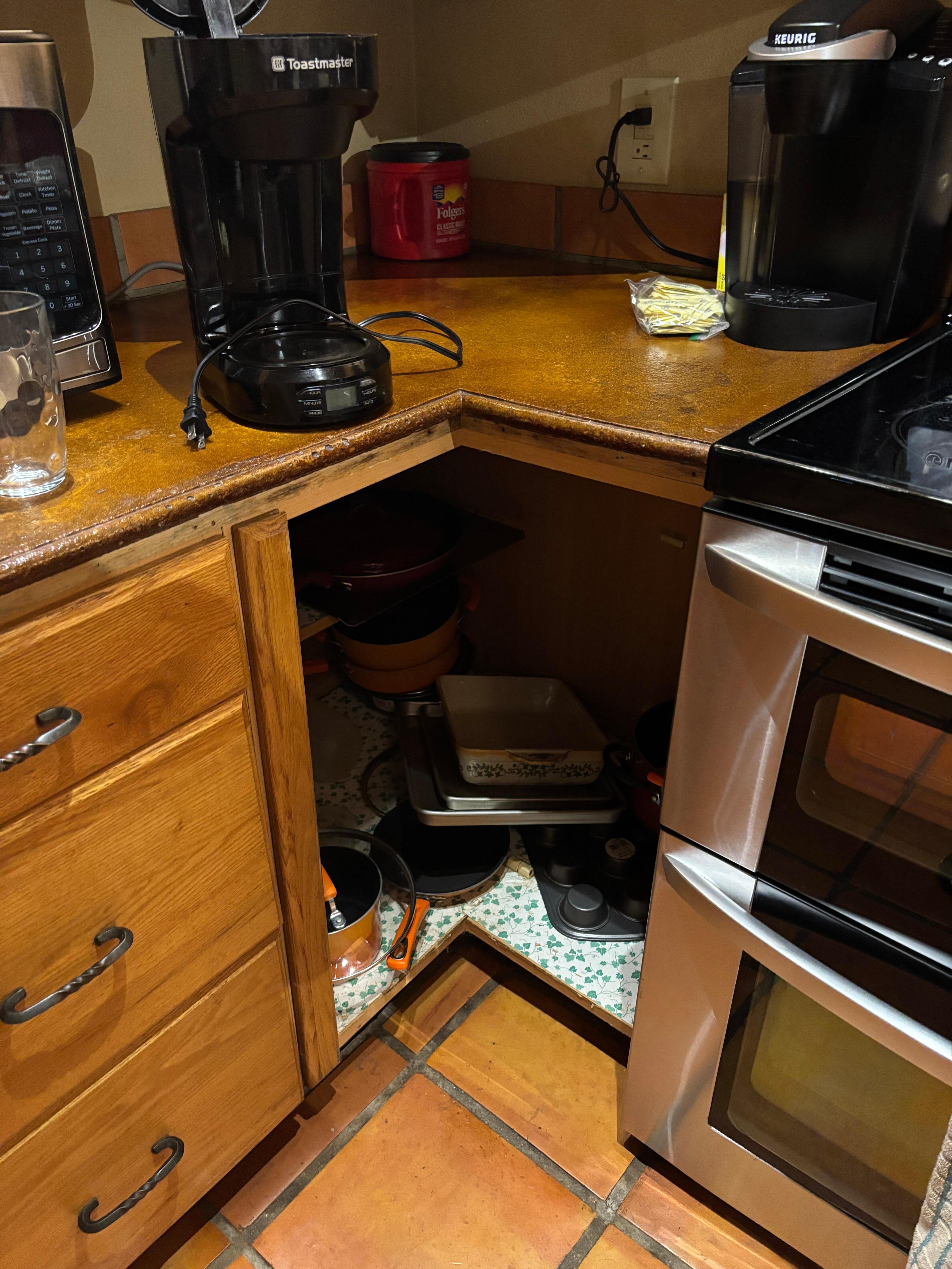 Bugs from the drain. 