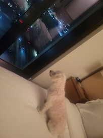 Mason loved the view