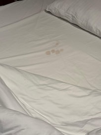 Visibly soiled sheets that the housekeeping decided it’s okay to have