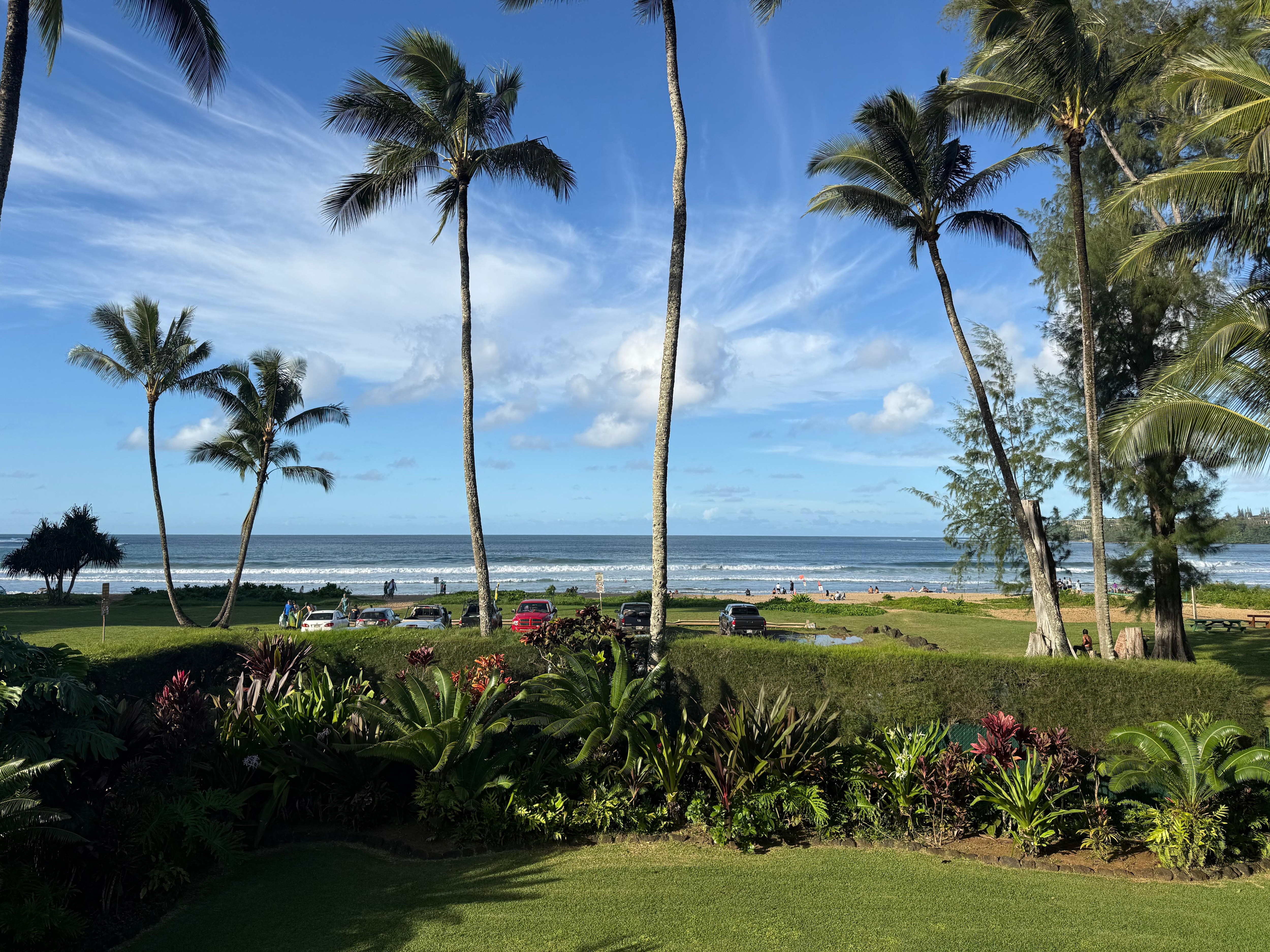 The view from the back upper deck