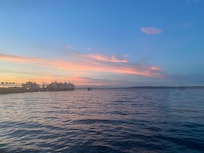 Evening view