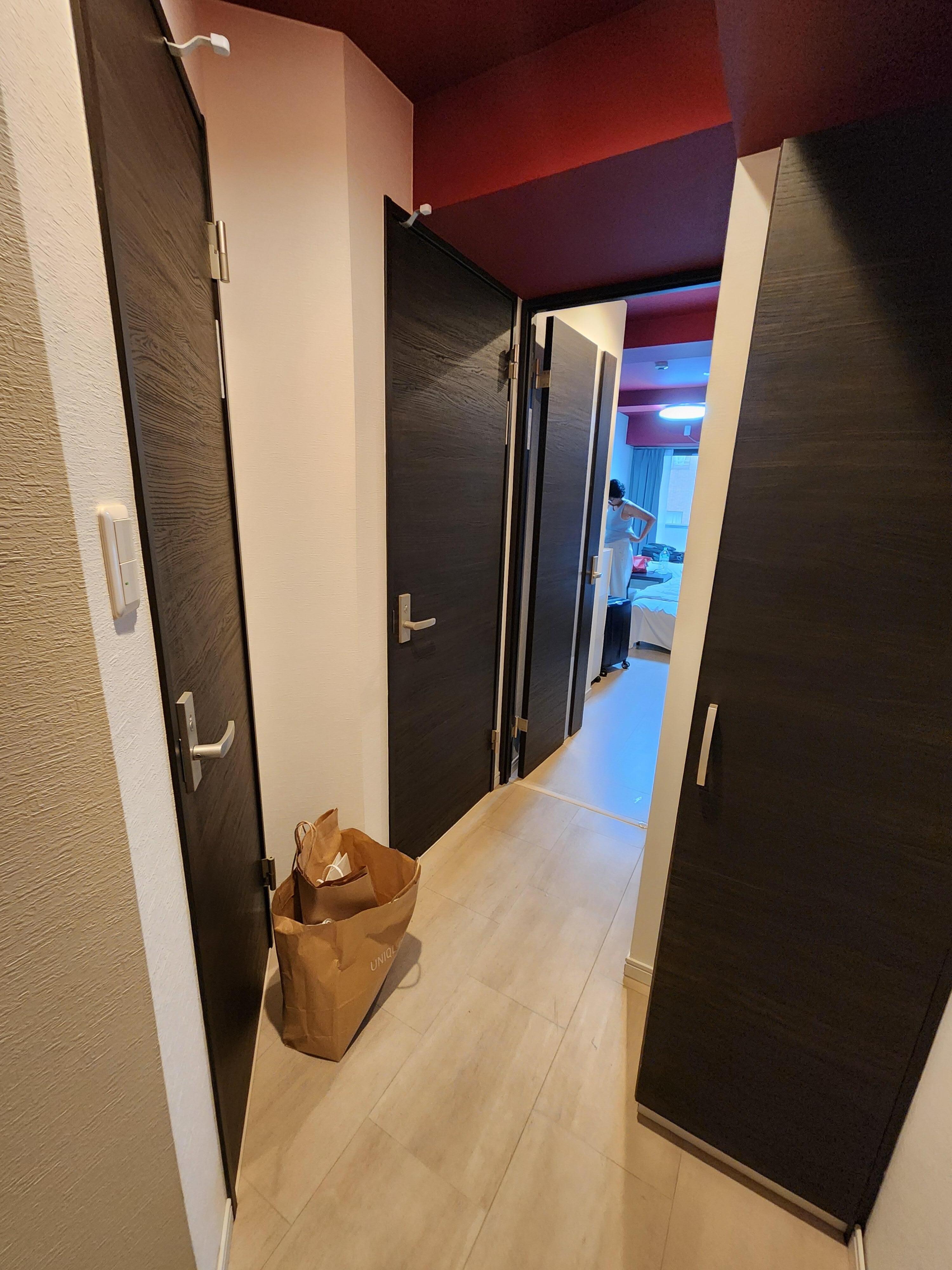 View from the front door into the apartment.