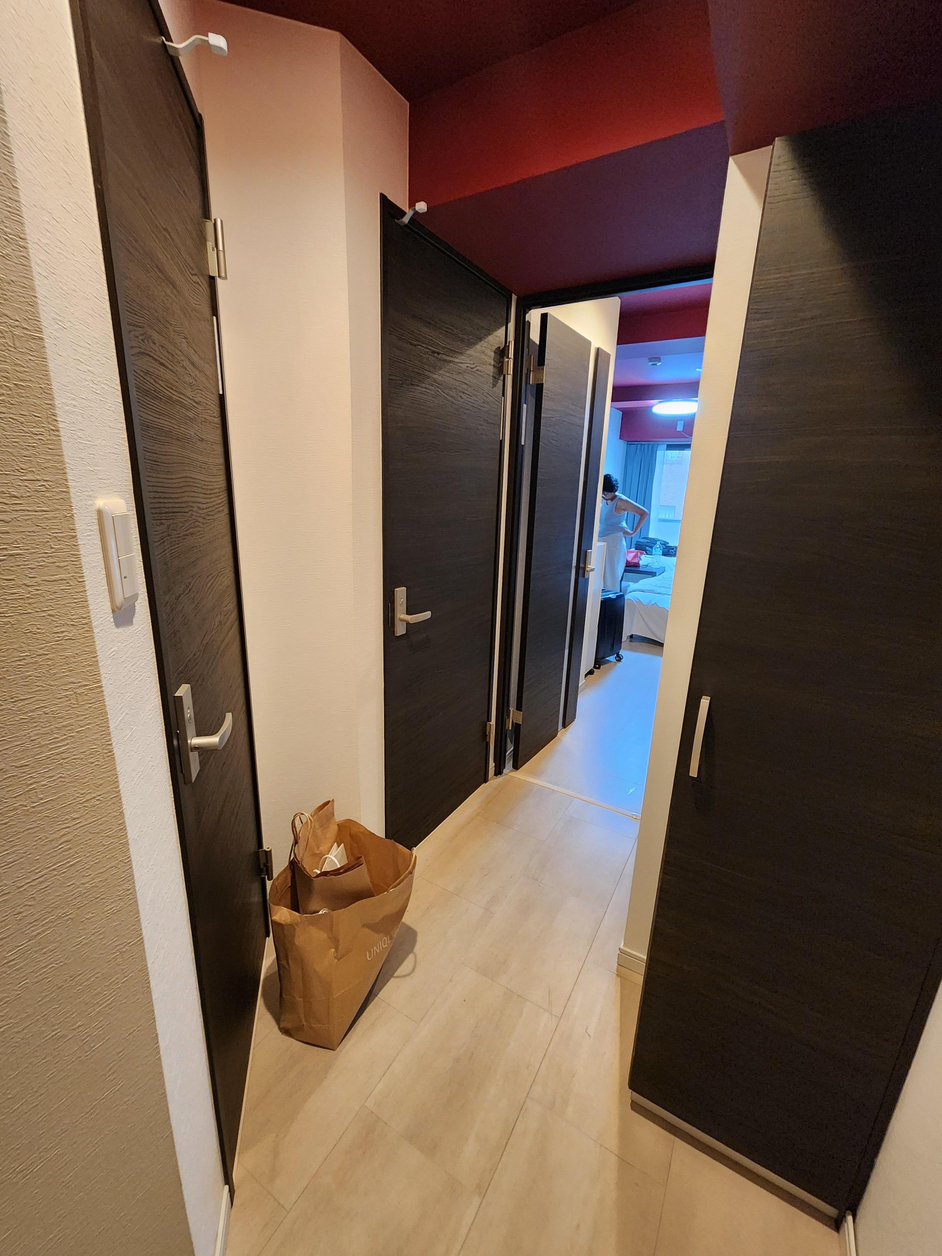 View from the front door into the apartment.