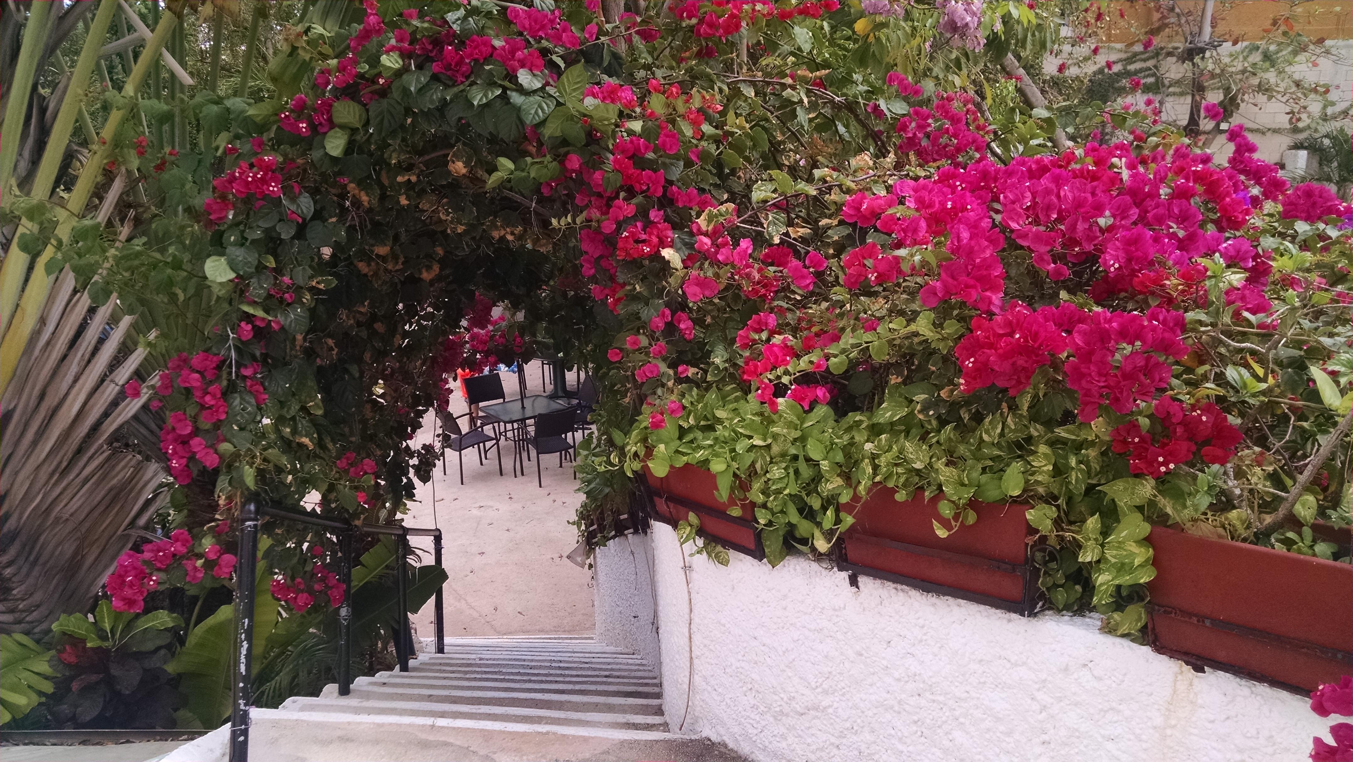 Front of the hotel