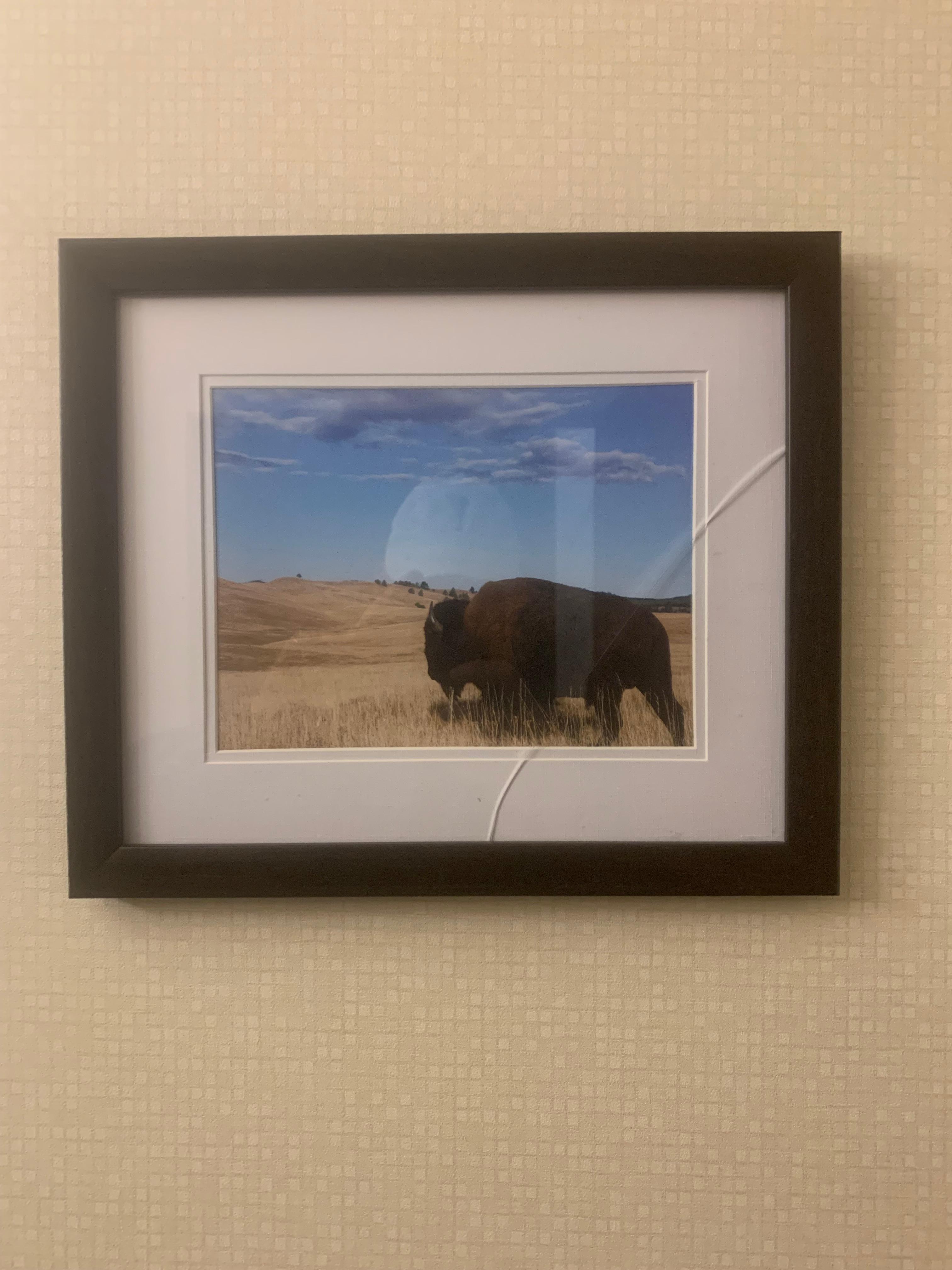 Upon checking I discovered a Broken Glass Picture Frame of a Bison located in 118 Bathroom. 