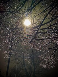 Stirling en invierno