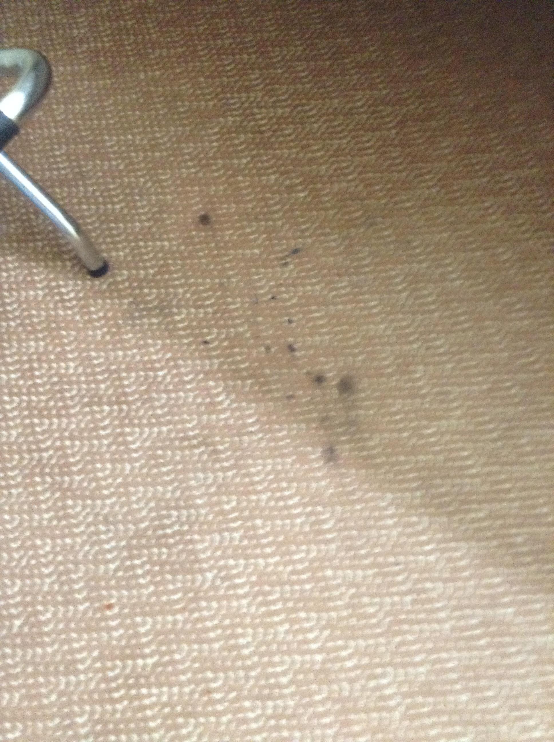 Floor was nasty