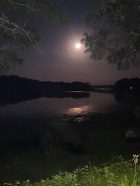 Backyard view at night