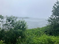 View from Backyard in fog