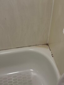 Touchup paint needed top corner