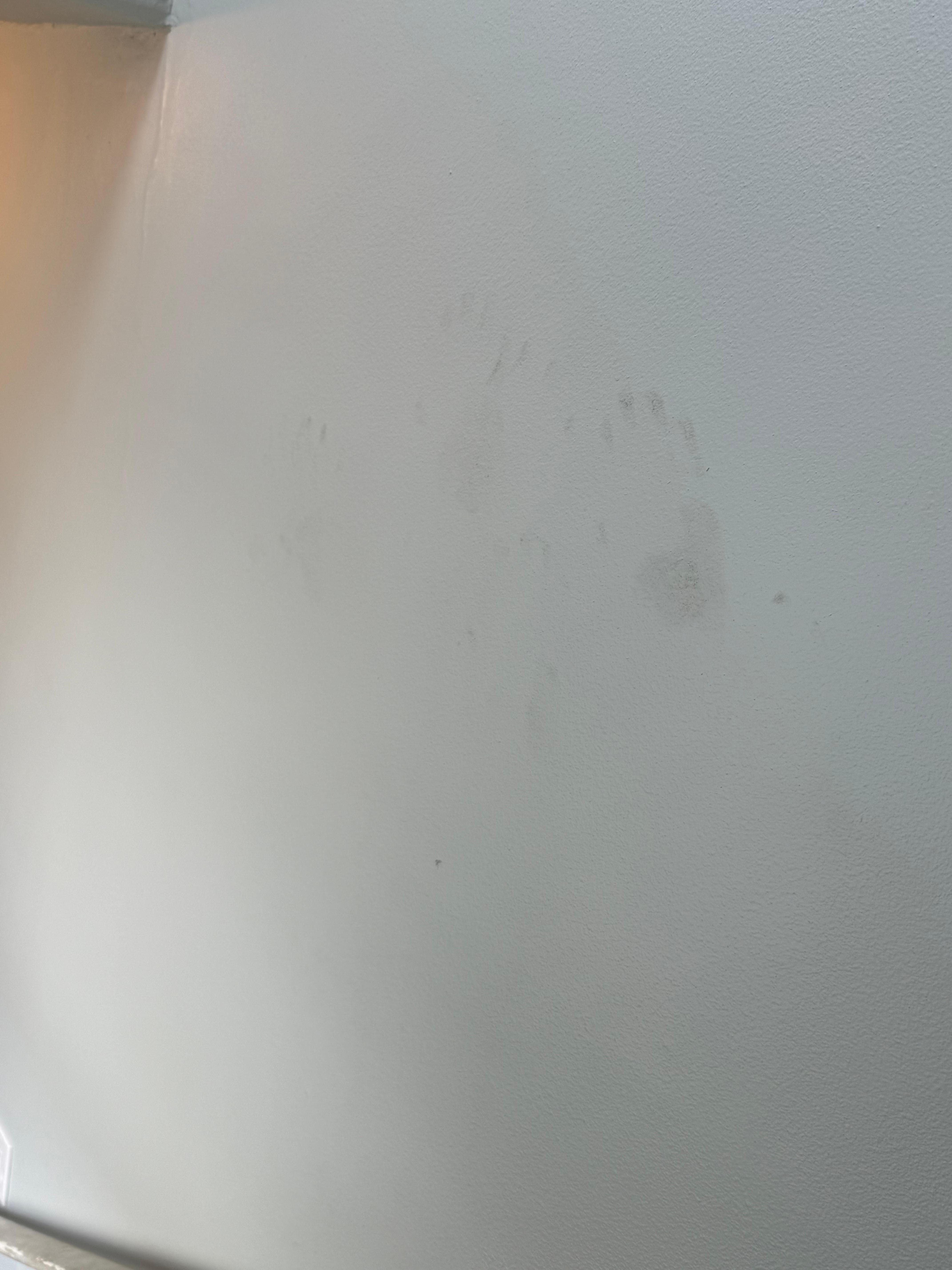 Handprints on stairs going upstairs 