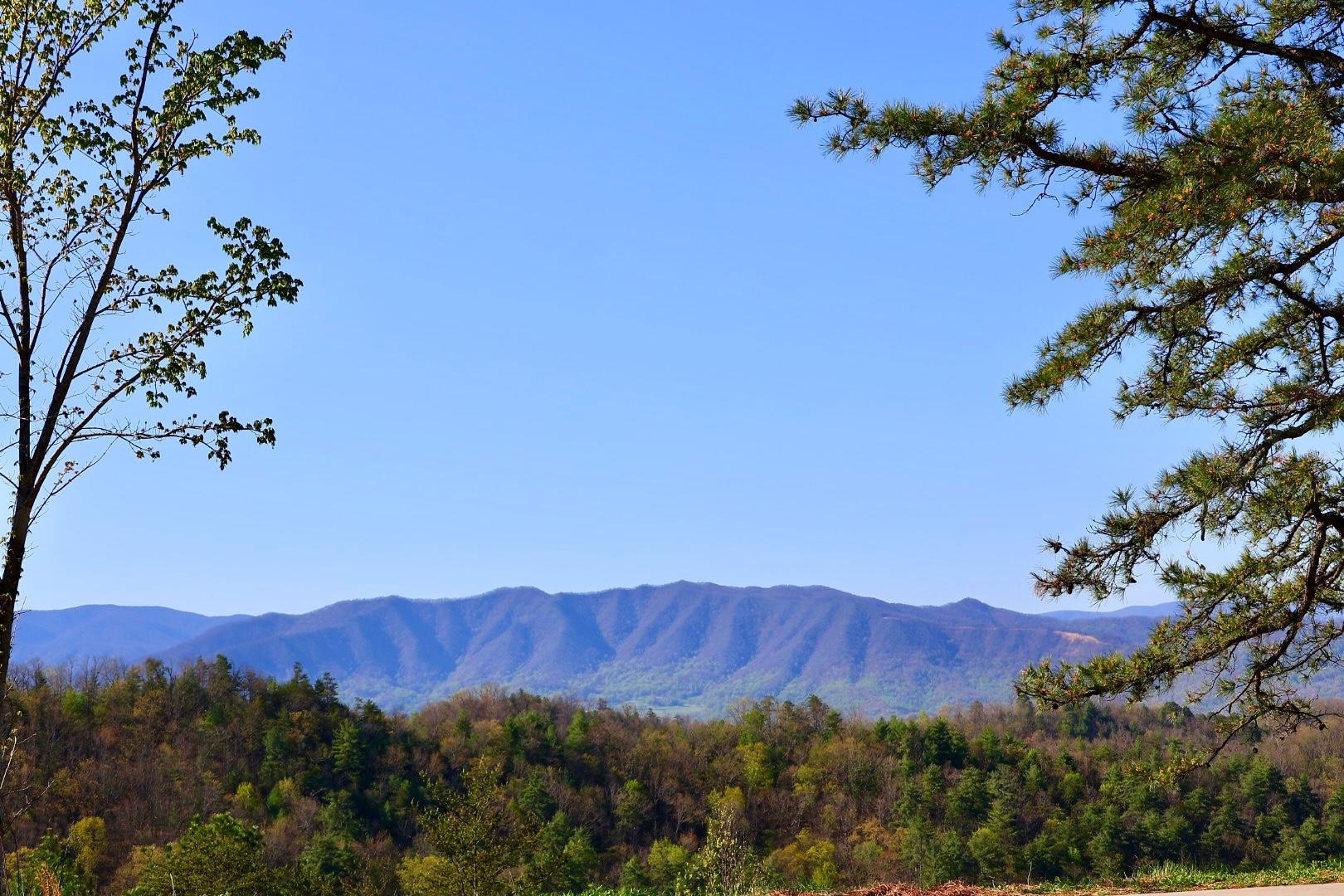 The Smokey mountain park offered many great sights