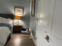 Cash the dog enjoying his stay