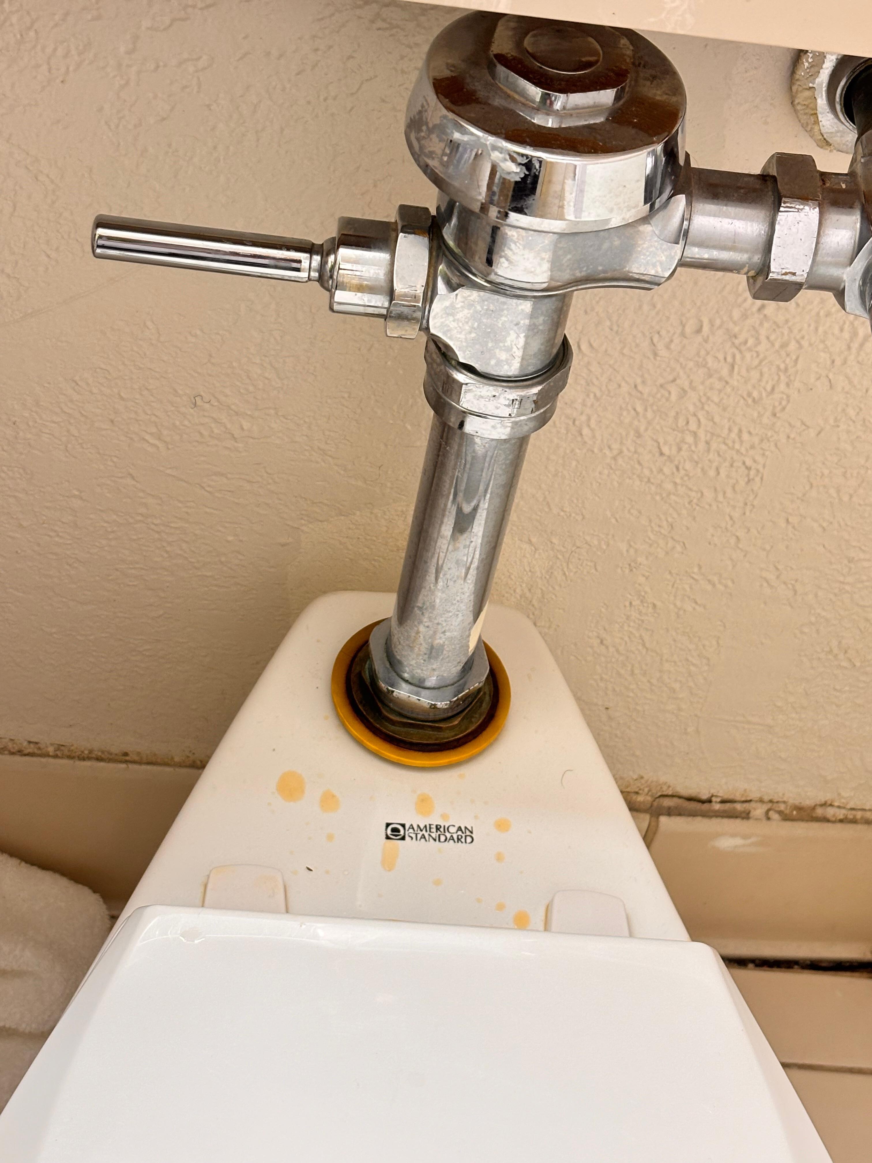 Industrial toilet plumbing in a hotel???
