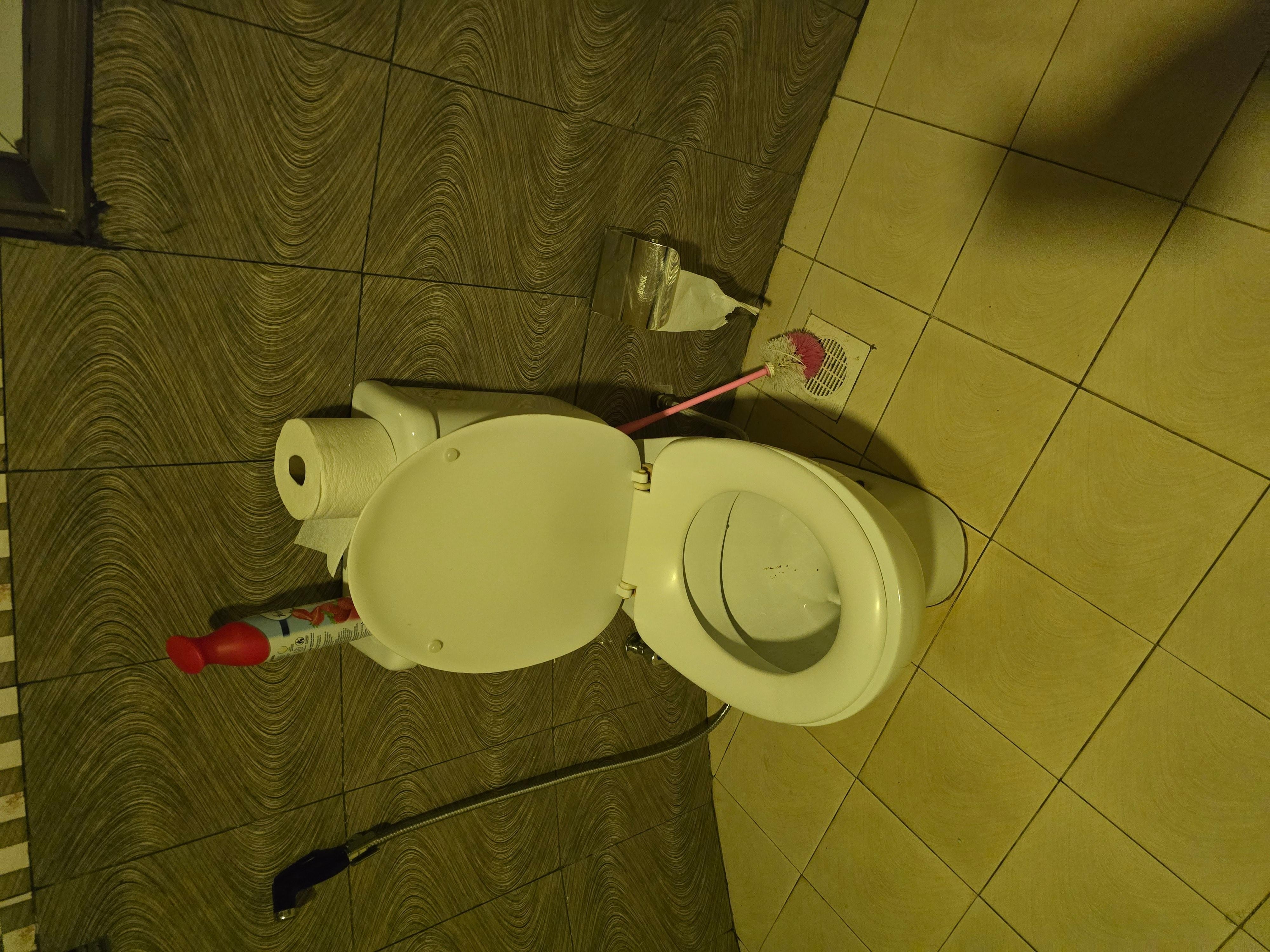 Toilet paper almost on the floor. No place to set toiletries or towles!