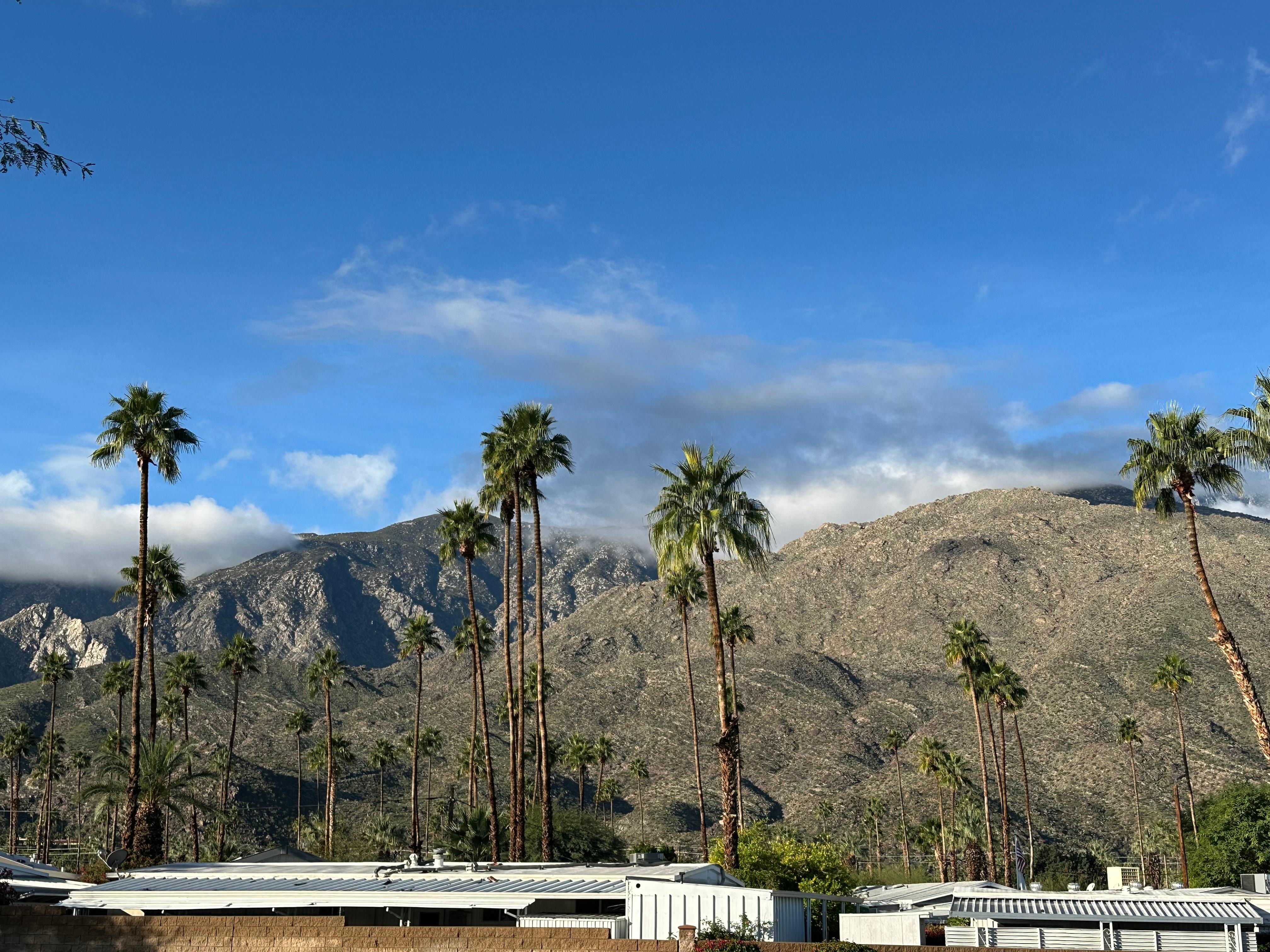 View from the property.