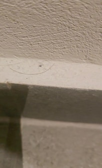 Esto fue en las orillas del baño, sin contar que no nos pusieron toallas chicas, ni medianas.