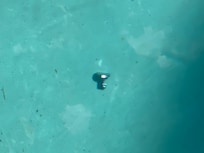 Dirty pool