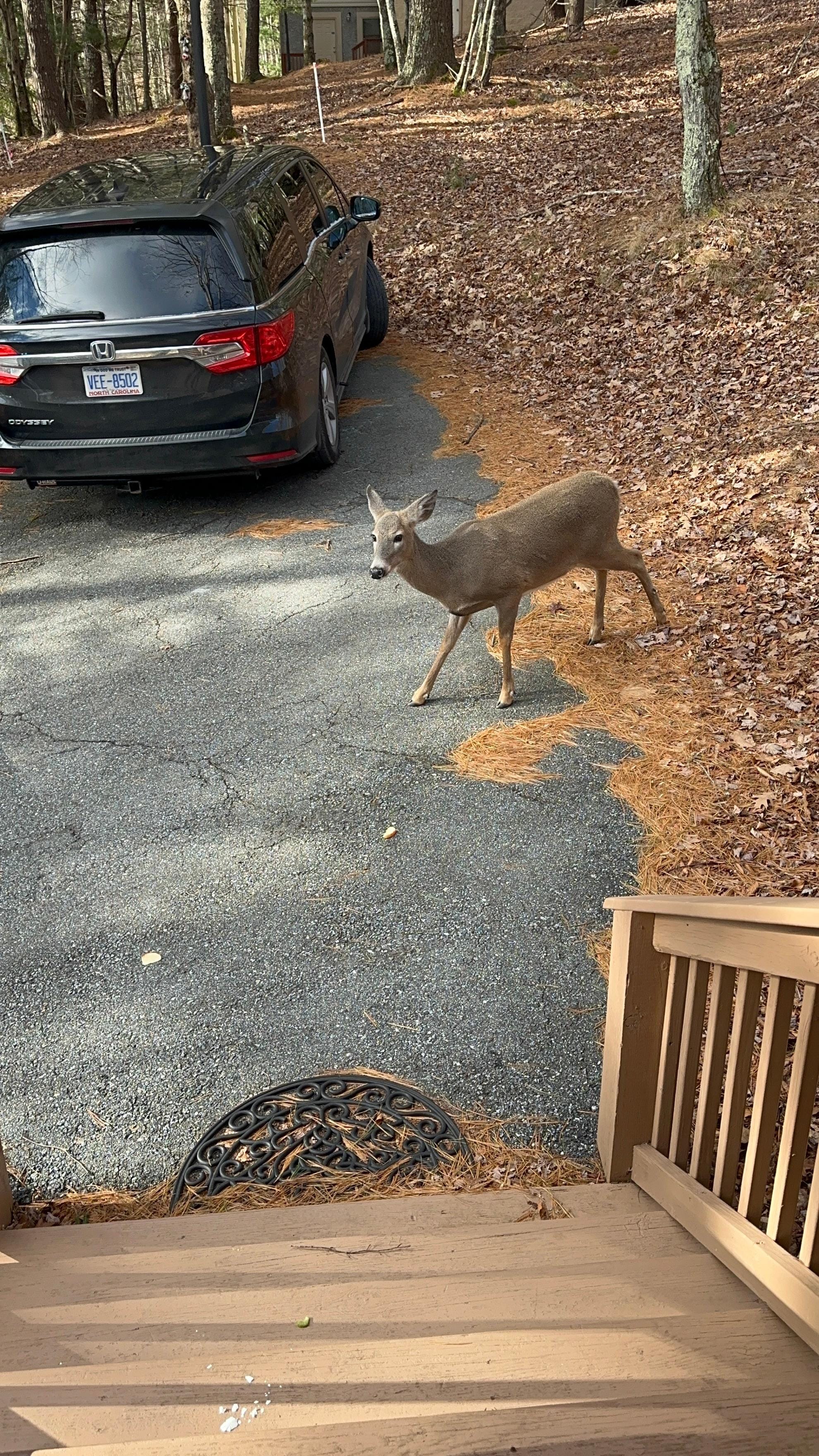 They came up to the door. 