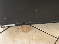 Yuck on the floor by the fridge