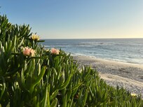 View from Windansea beach