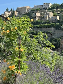 Bis nach Gordes sind es 30 Minuten zu Fuß, bei der man die Landschaft genießen kann.
