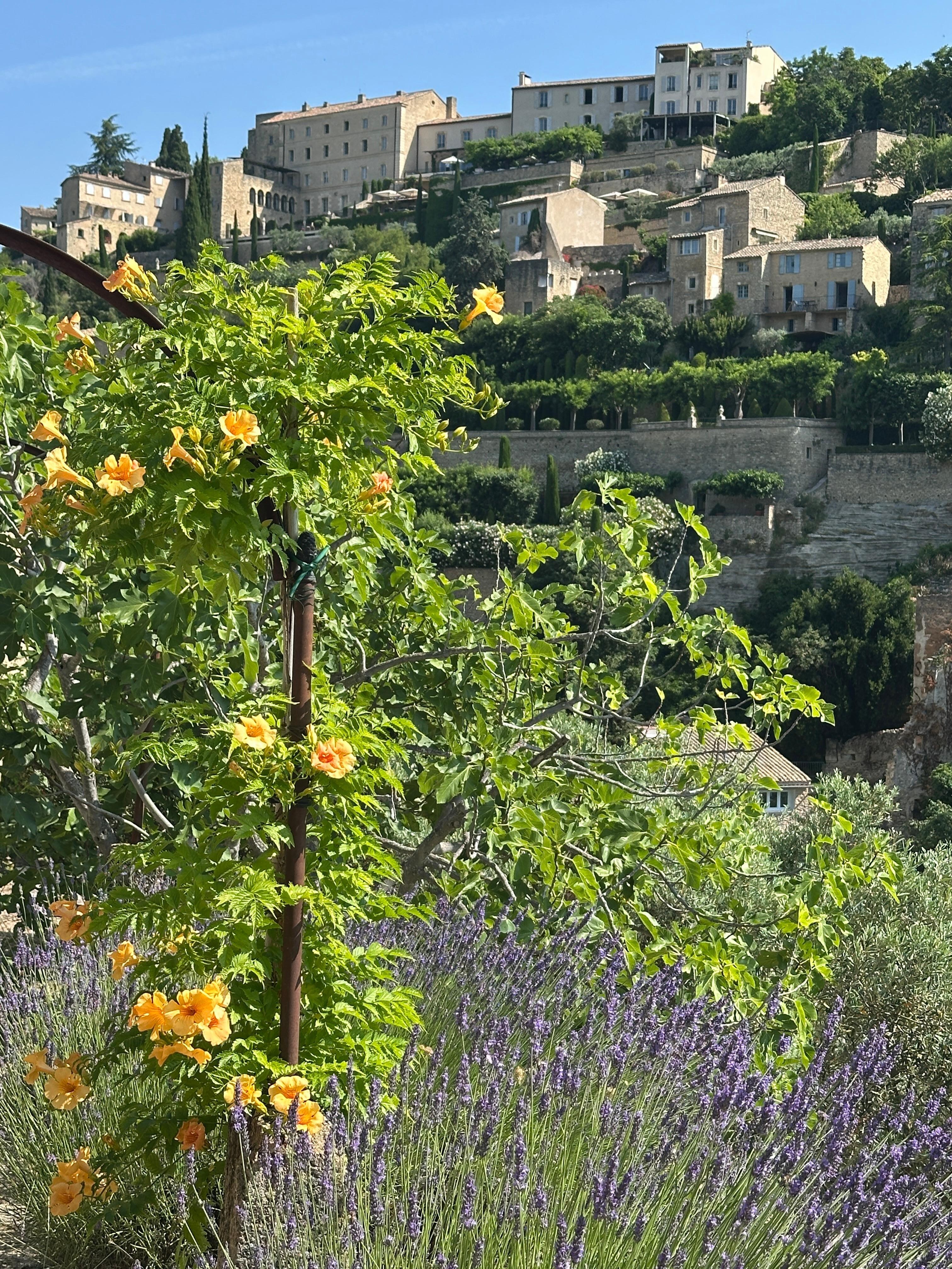 Bis nach Gordes sind es 30 Minuten zu Fuß, bei der man die Landschaft genießen kann. 
