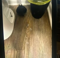 White mess on floor upon arrival