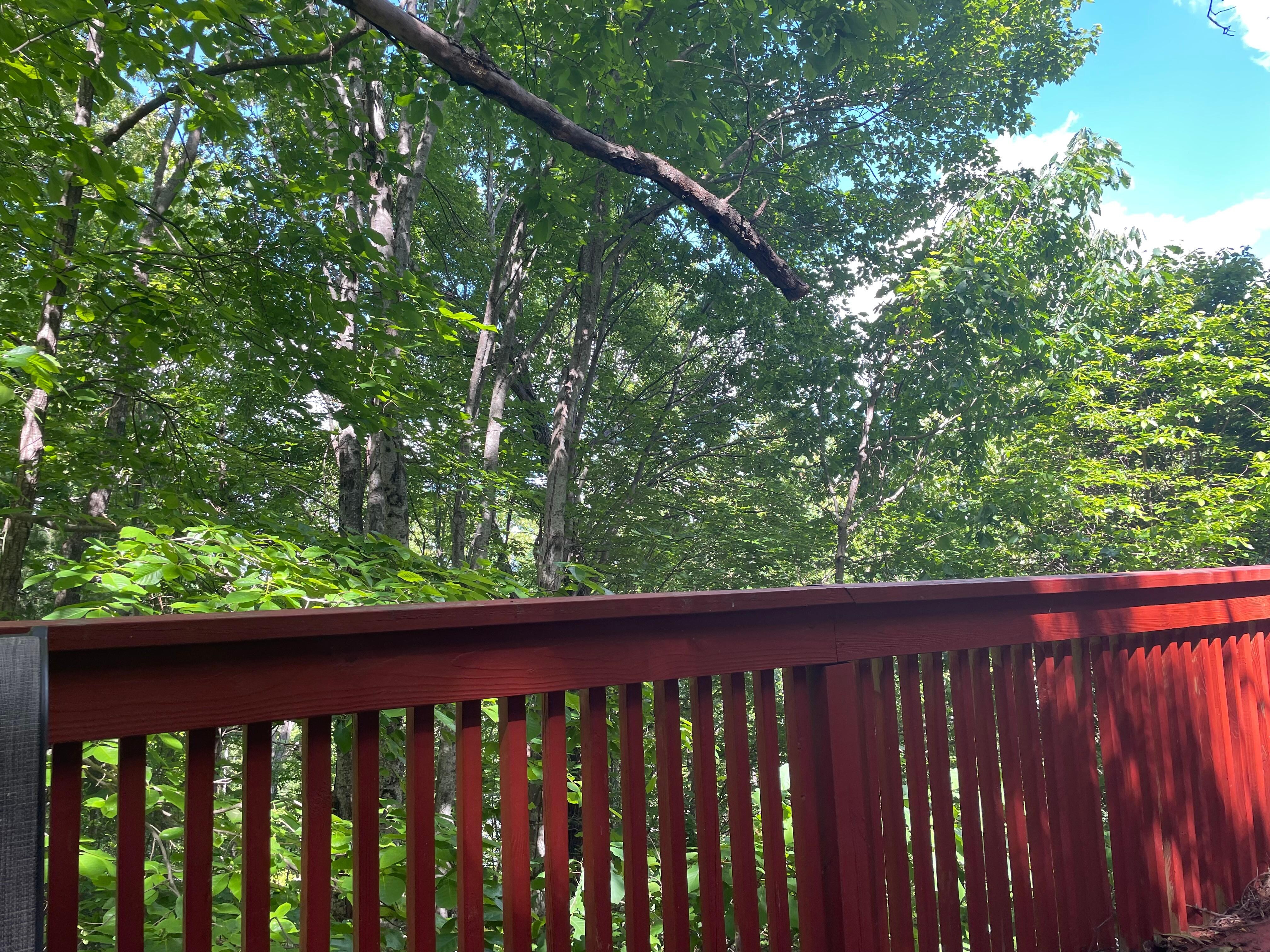View from the deck