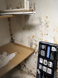 Mold in lower level