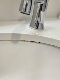 Mold in sink
