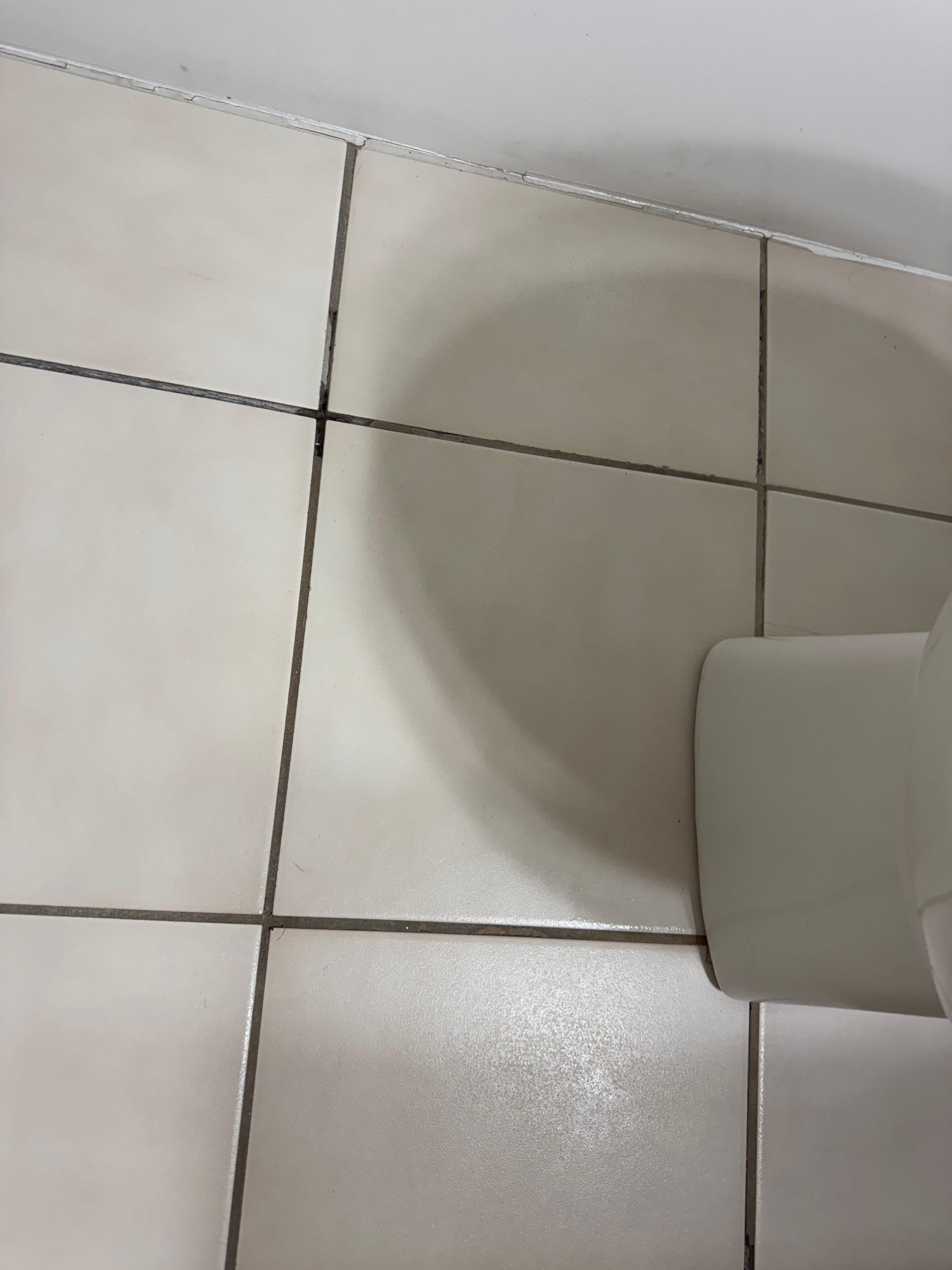 Hair/wiskers on bathroom floor