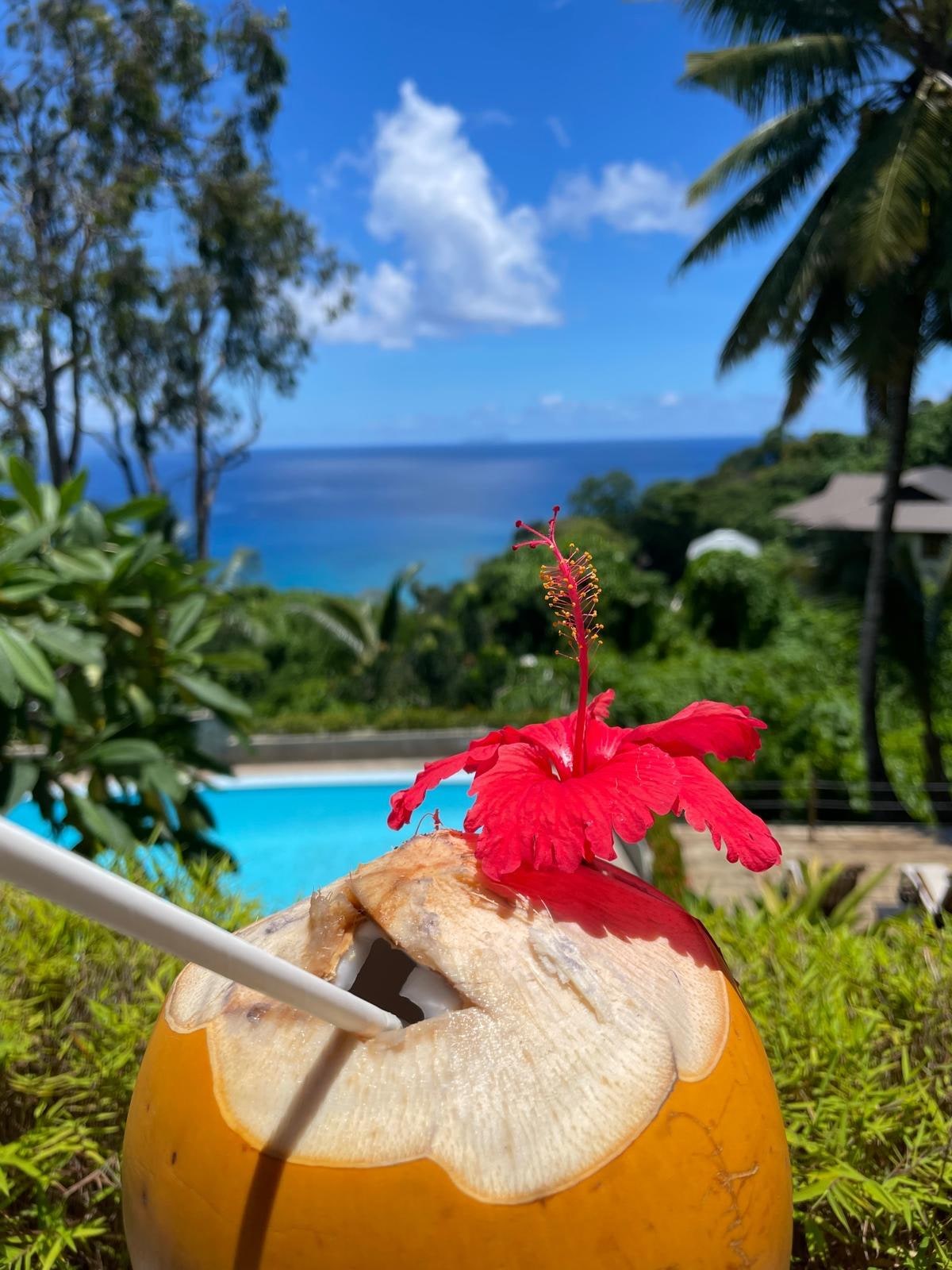 Begrüßungsdrink von Mariana