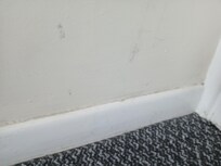 Filthy Skirting