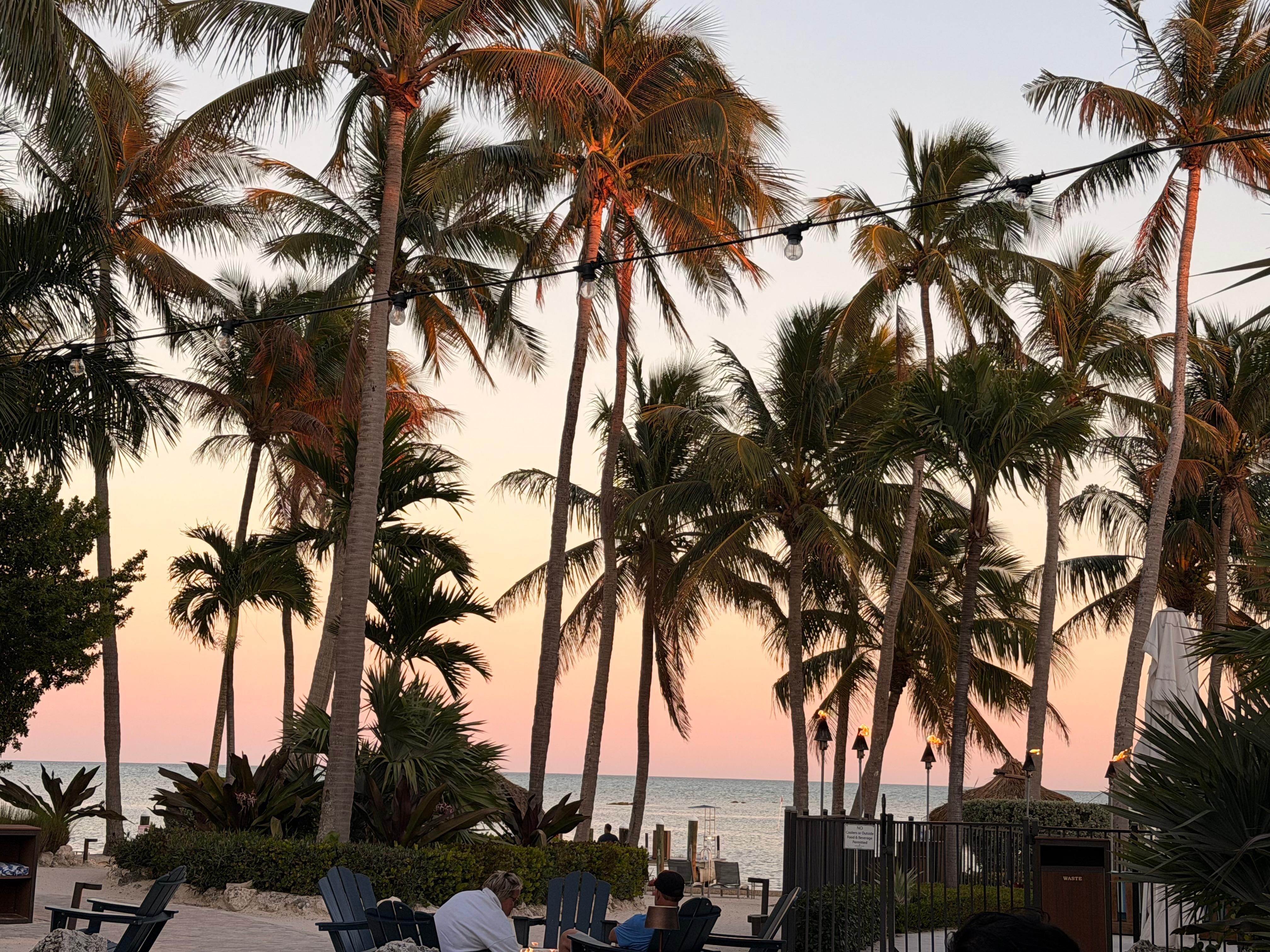 View from outdoor dining area