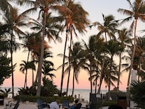 View from outdoor dining area