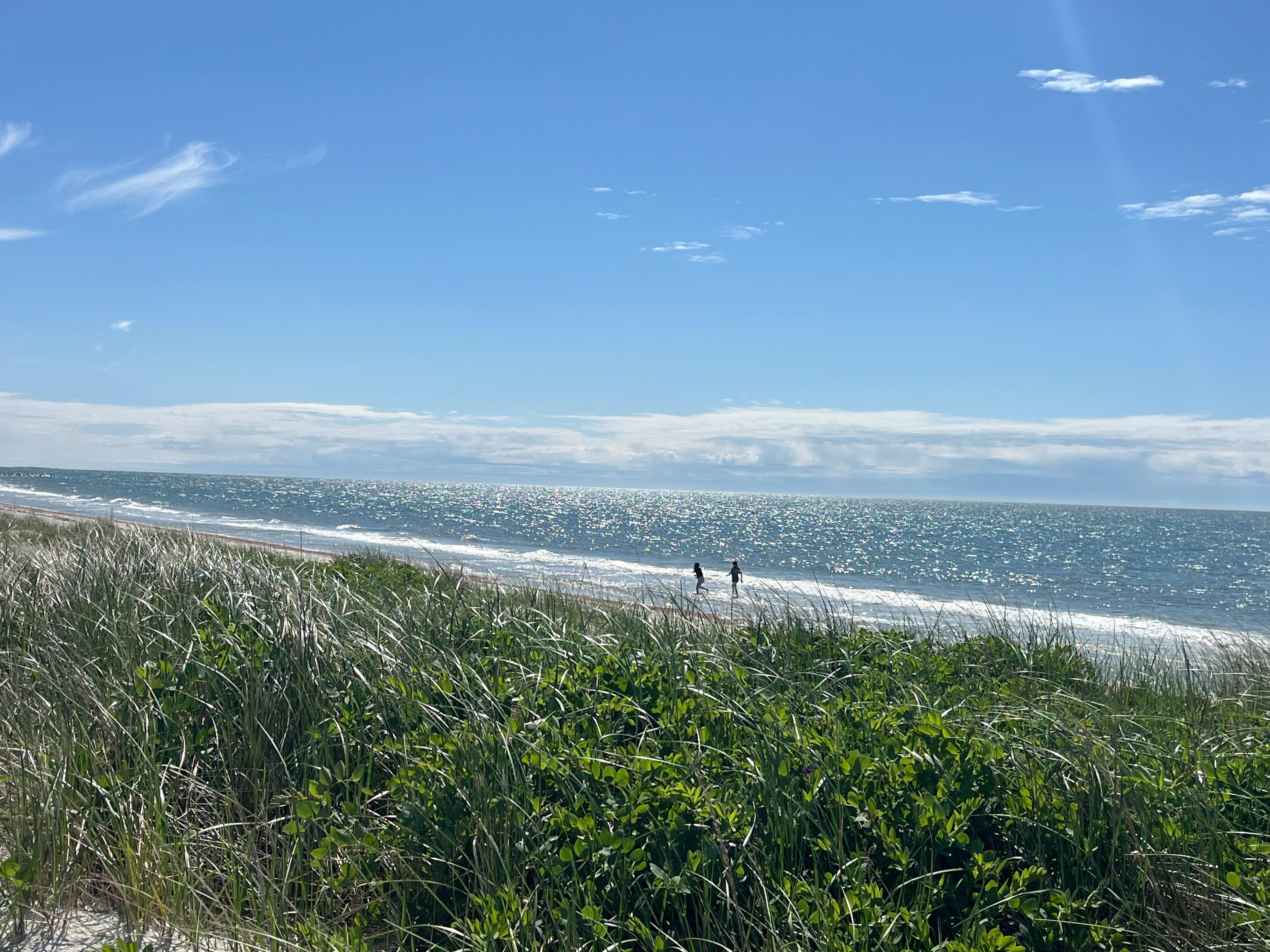 Sea Gull Beach- walking distance