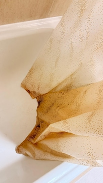 Mold
