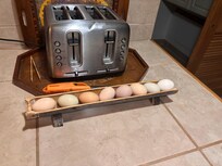 Fresh eggs