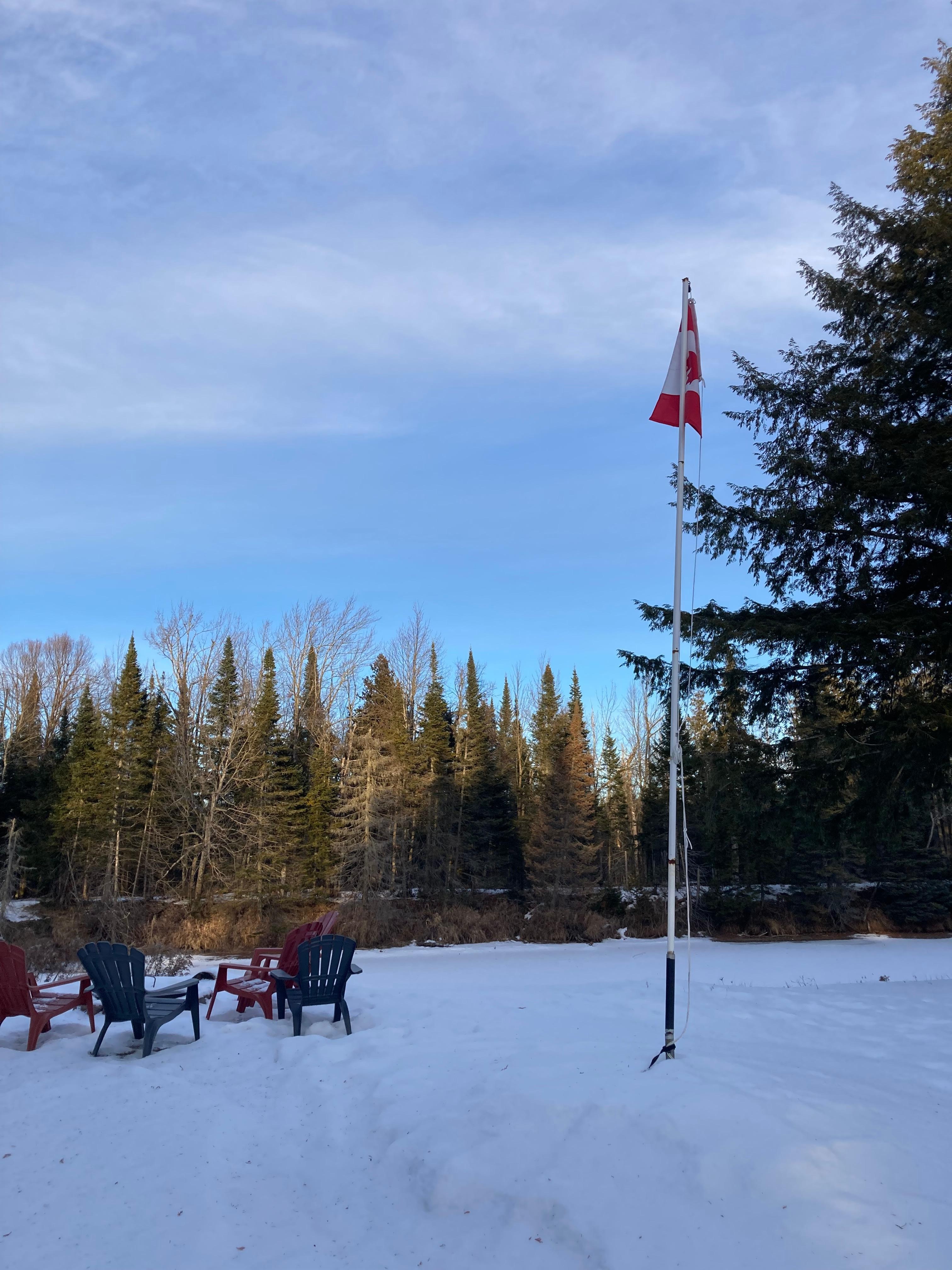 Wintery view from the back porch