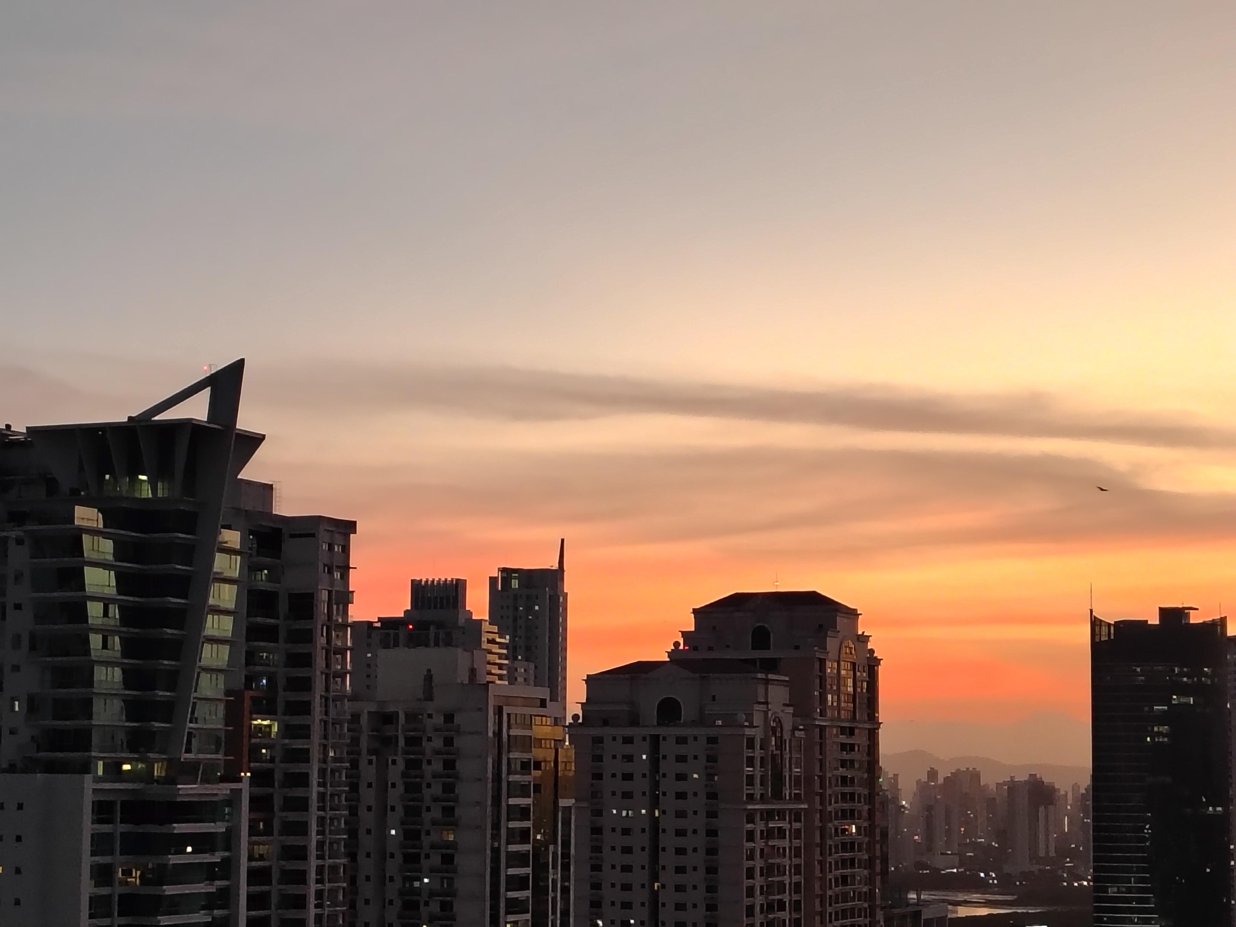 A view from the pool 