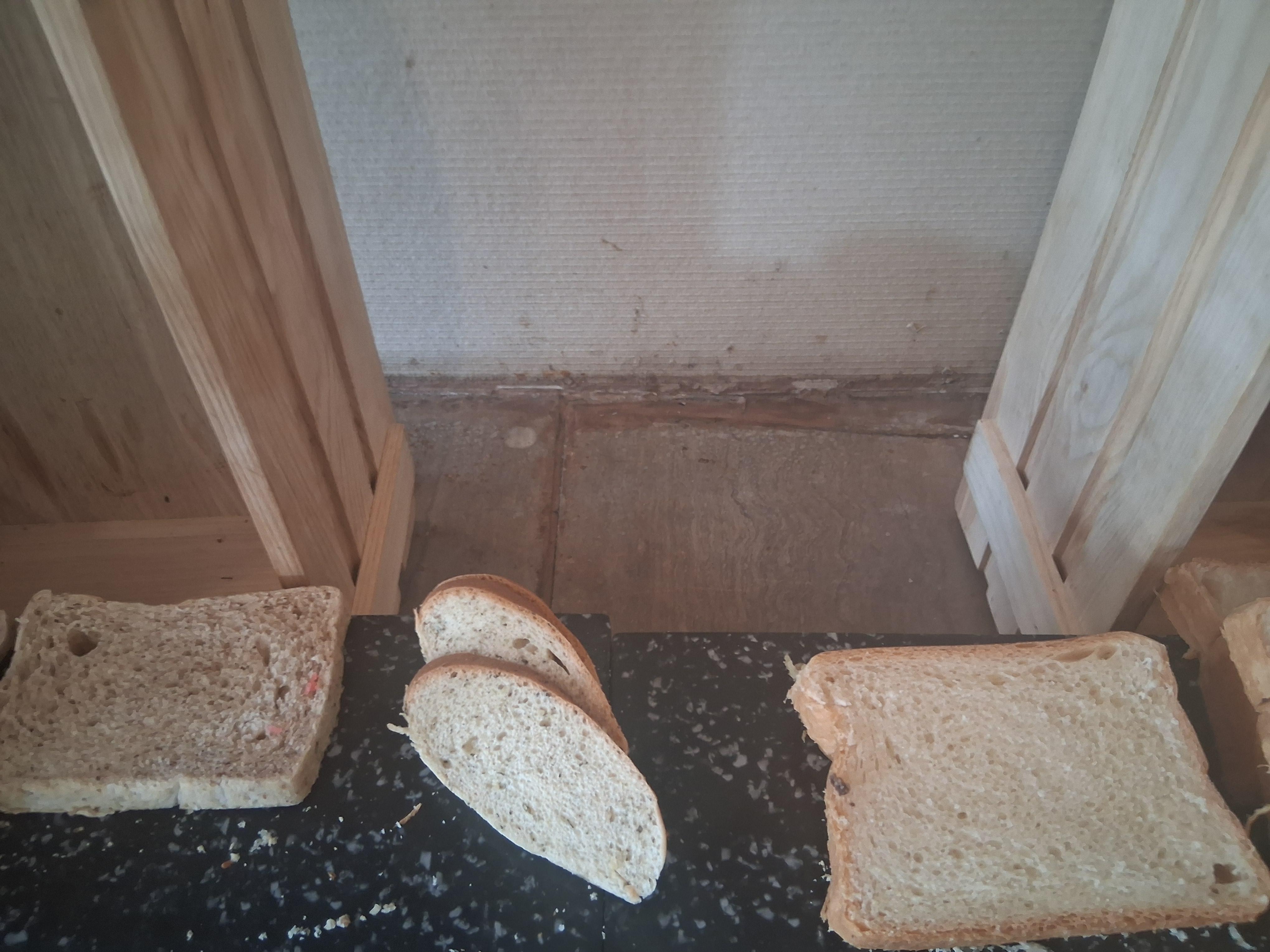 Dirty counter and walls by bread at breakfast buffet