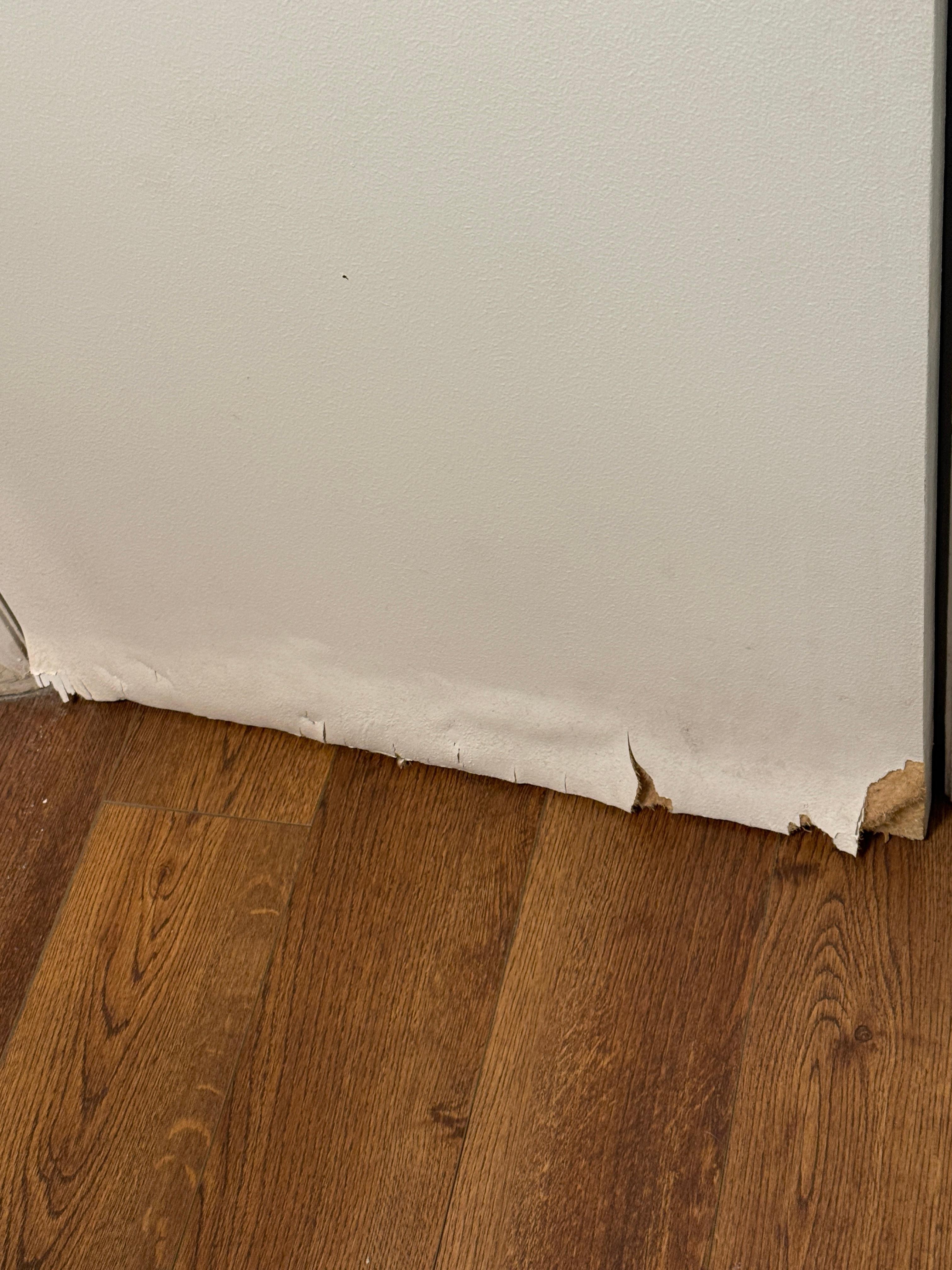 Rotten wood bathroom door