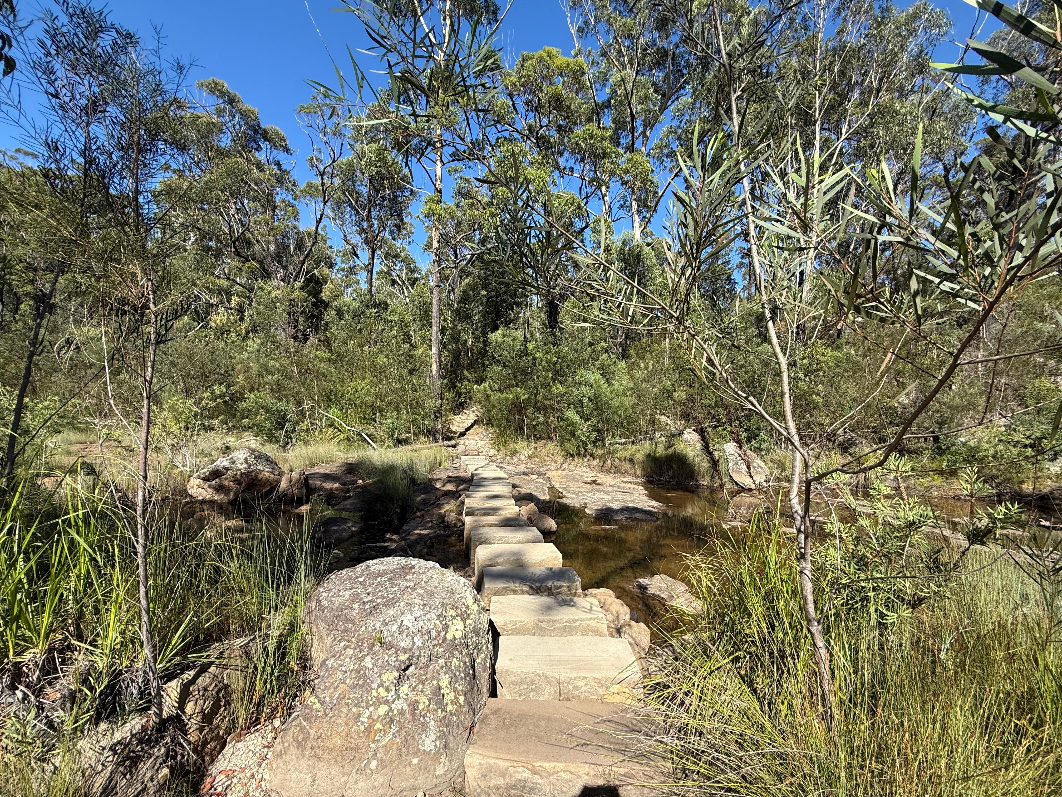 This trail is accessible from park across the street. Can be an out and back to a waterfall or a longer loop