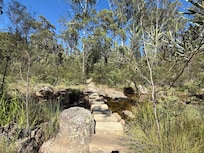 This trail is accessible from park across the street. Can be an out and back to a waterfall or a longer loop